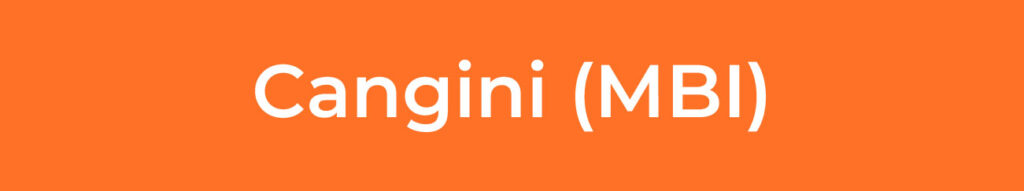 CONC-Cangini-(MBI)