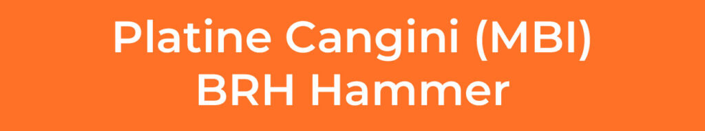 PLATINE-CANGINI(MBI)-BRH-HAMMER