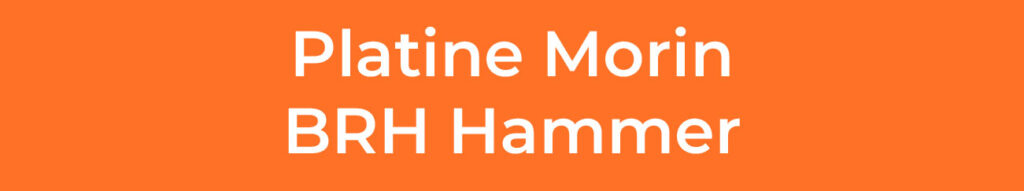 PLATINE-MORIN-BRH-HAMMER