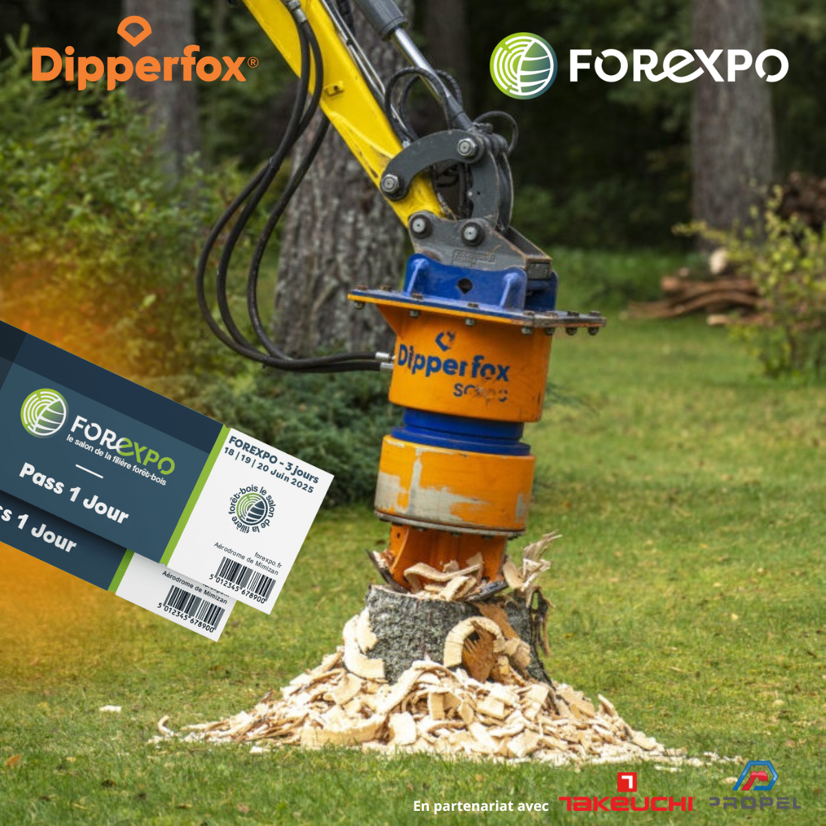 Forexpo