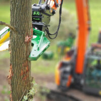 TREE MASTER (CISAILLE) TL150 AVEC ROTATION – Image 3